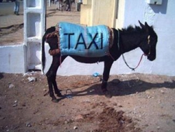 
               Meilleure photo blague  Taxi pour Tobrouk 
              