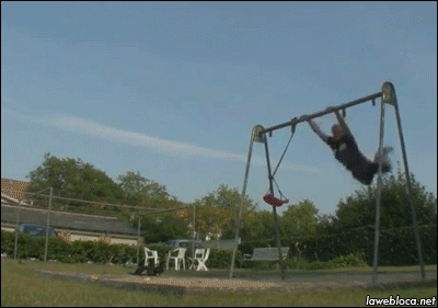 
               Meilleures images drôles le acrobate
              