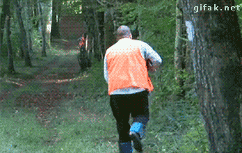 
               Meilleures image drole  Un chasseur sachant chasser... 
              