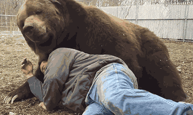 
               Meilleures image drole  Nounours te réveille 
              