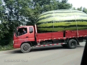 
               Meilleures images droles  Légume bio ? 
              