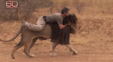 
               Meilleures image drole  équitation risquée 
              