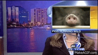 
               Meilleures image drole  La télé réalité ^^ 
              
