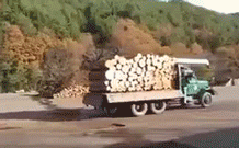 
               Meilleures images drôles  Livraison de bois rapide ! 
              