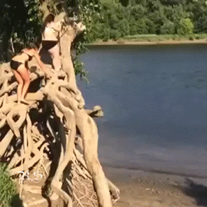 
               Meilleures image drole  Bain raté ! 
              
