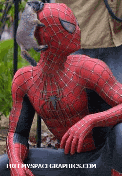 
               Meilleures images drôles  spiderman aime la nature 
              