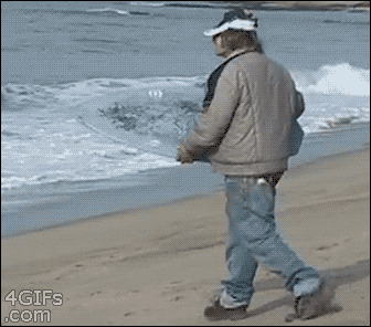 
               Meilleures image drole  Alerte à Malibu 
              