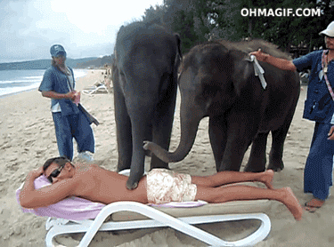 
               Meilleures images drôles  Massage cool 
              