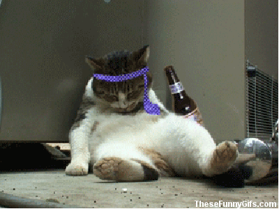 
               Meilleures images drôles  je suis lessivé 
              
