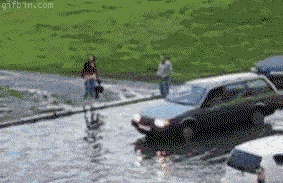 
               Meilleures image drole Surfing! 
              
