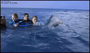 
               Meilleures image drole  Compagnon de bain ? 
              
