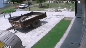 
               Meilleures image drole Un voleur met une vache dans une petite voiture !!
              