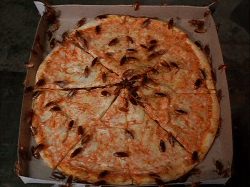 
               Meilleures images droles  Le samedi c'est pizza ! 
              