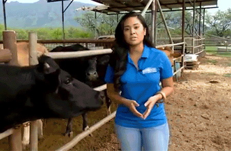 
               Meilleure image drole  Le goût du lait 
              