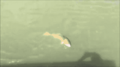 
               Meilleures images droles  Pêche ratée 
              