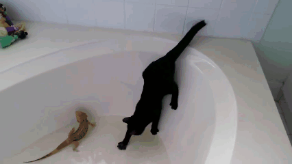 
               Meilleures images droles  C'est bien connu... 
              