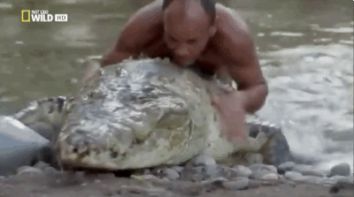 
               Meilleures image drole  A dos de croco ! 
              