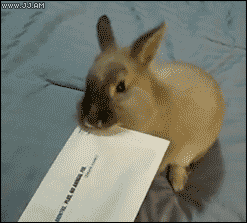 
               Meilleures image drole  Ouvre-enveloppes 
              