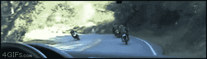
               Meilleures images droles  Cascadeur de l'impossible 
              