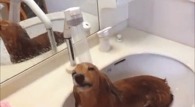 
               Meilleures images droles la douche
              