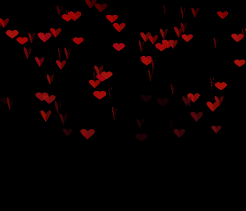 
               Meilleures images drôles  l'après StValentin 
              