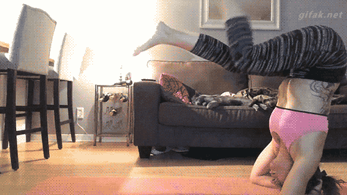 
               Meilleures images blagues  Fuite de chattes 
              