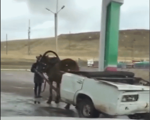 
               Meilleures image drole  Carburant hybride ? 
              