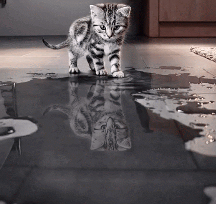 
               Meilleures image drole  Petit deviendra grand 
              