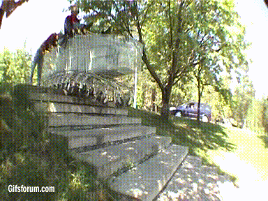 
               Meilleures images droles  Cascade à caddies 
              