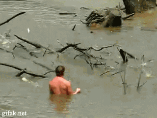 
               Meilleures images droles  La pèche à pied 
              