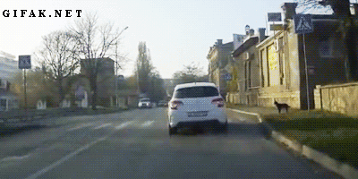 
               Meilleures image drole  Conducteur prudent 
              
