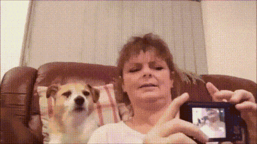 
               Meilleures image drole  Selfie avec le toutou. 
              