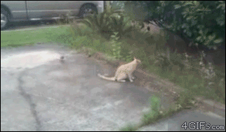 
               Meilleures images drôles  Ne croyez pas en votre Karma ! 
              