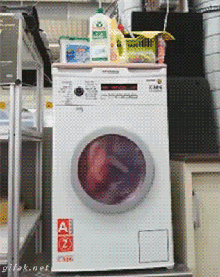  Image rigolote  Machine à laver - Frigo 
              