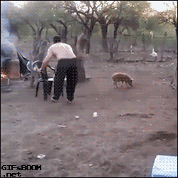 
               Meilleures image drole  Pas de barbecue pour ce soir 
              