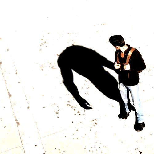 
               Meilleures image drole  Il faudrait le mettre à l'ombre. 
              