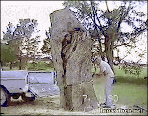 
               Meilleures images droles  Vite fait, bien fait 
              