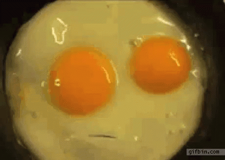 
               Meilleures image drole  Oeuf parlant 
              