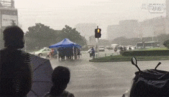 
               Meilleures image drole  parapluie de groupe 
              