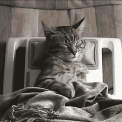 Image hilarante Massage
