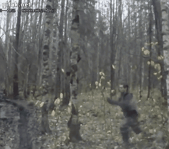 
               Meilleures image drole  1-0 pour l'arbre ! 
              