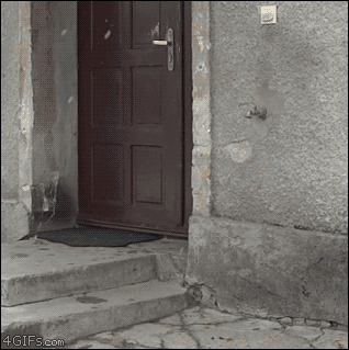 
               Meilleures images drôles  Coucou ! C'est moi ! 
              