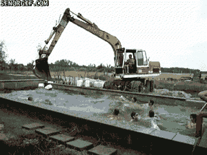 
               Meilleures images droles  Bain entre copains 
              