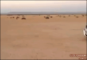 
               Meilleure image drole  ils n'ont plus de pétrole ?? 
              
