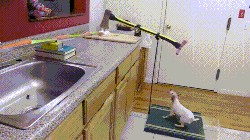 
               Meilleures images droles  La cuisine sans effort 
              