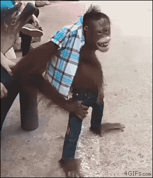 
               Meilleures images marrantes  Cool Raoul 
              
