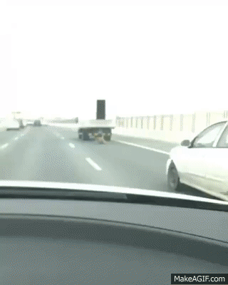 
               Meilleures image drole  Colis tombé du camion 
              
