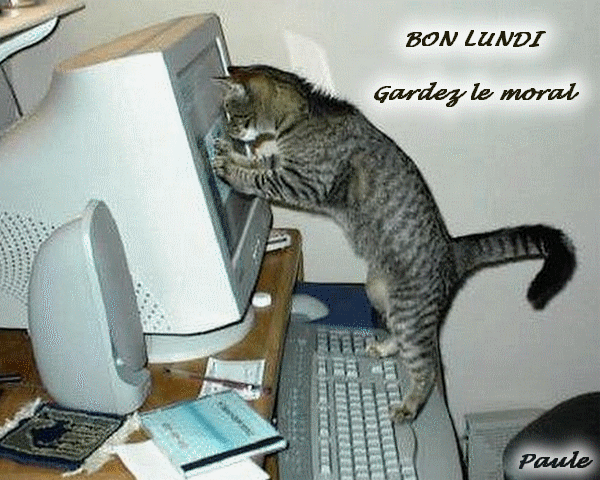 
               Meilleures images droles  BONNE SEMAINE 
              