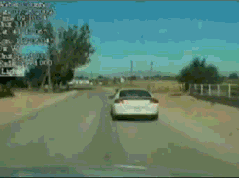 
               Meilleures images drôles  Surprise ! 
              