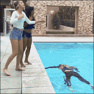 
               Meilleures image drole  Non: elle a déjà un petit ami ! 
              